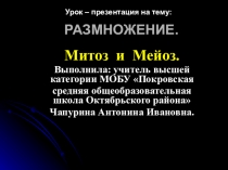 Презентация по биологии на тему Митоз и мейоз (9 класс).