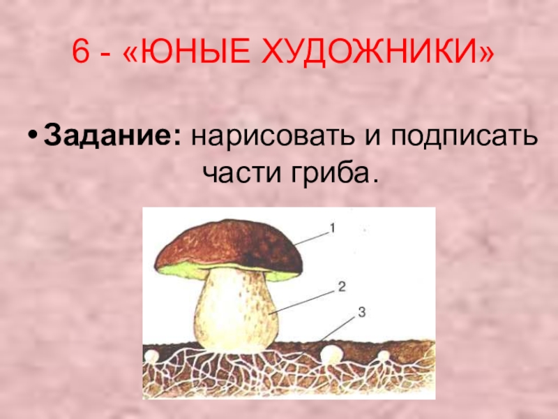 Подпиши грибы. Подпишите части гриба. Части гриба 5 класс. Части гриба задание. Части гриба 2 класс.