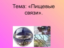 Презентация по биологии на тему: Пищевые связи