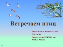 Презентация по окружающему миру Встречаем птиц
