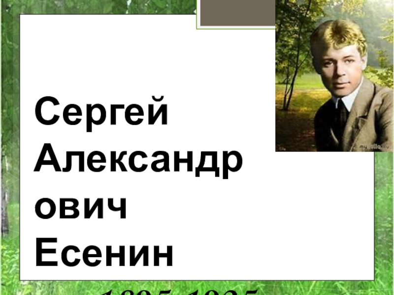 Сочинение: Все встречаю, все приемлю... По лирике С.А. Есенина.