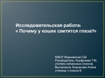 Презентация Почему у кошек светятся глаза