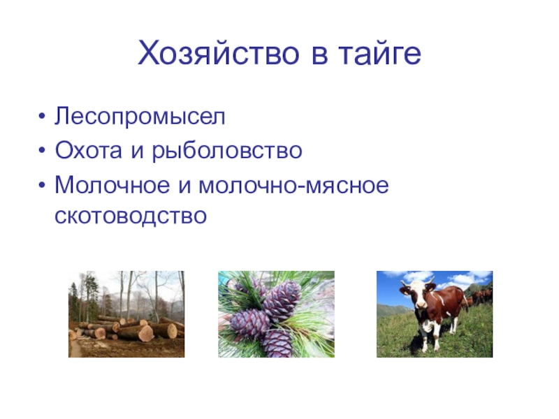 Ограничения для ведения сельского хозяйства в тайге