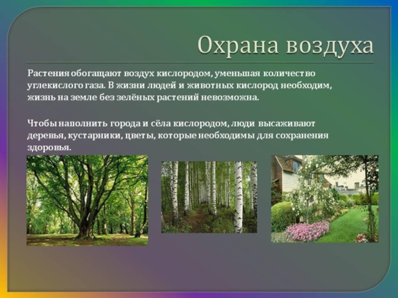 Что делается для охраны воздуха. Сохрана воздуха?????????????????. Охрана воздуха. Охрана воздуха презентация. Охарна воздуха в городе.