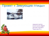 Презентация в средней группе Зимующие птицы