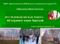 Презентация по биологии на тему Сохраним наши березы(Исследовательская работа)