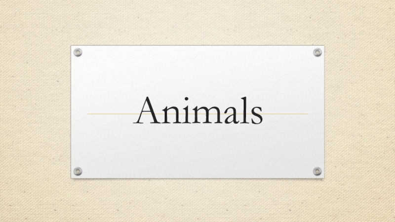Презентация Презентация по английскому языку Animals 2 класс