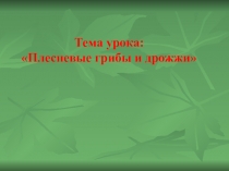 Презентация по биологии на тему Плесневые грибы и дрожжи ( 5 класс)