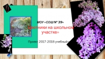 Презентация проекта Цветники школы