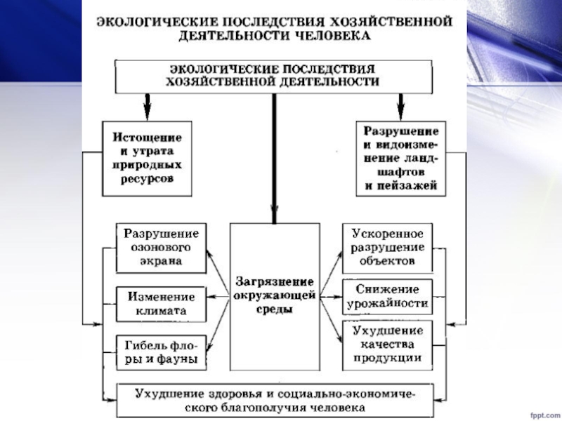 Презентация последствия деятельности человека