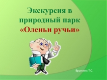 Презентация по внеклассной работе Экскурсия в парк Оленьи ручьи