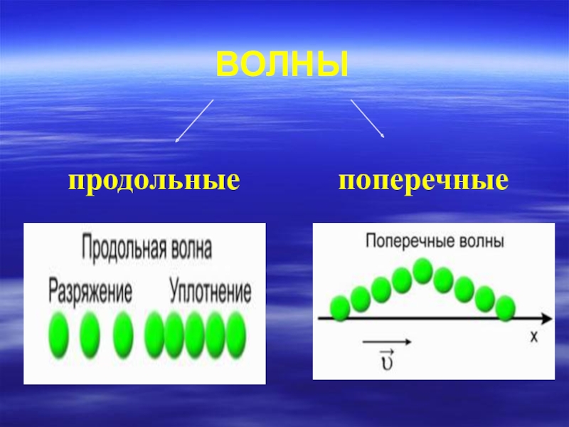 Какова внешняя картина поперечных волн