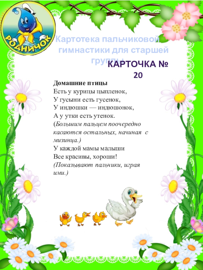 Пальчиковая гимнастика в подготовительной группе. Пальчиковая гимнастика домашние птицы подготовительная группа. Пальчиковая гимнастика в подготовительной группе картотека. Пальчиковая гимнастика в старшей группе. Картотека пальчиковой гимнастики в старшей группе.