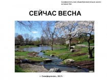 Приложение к конспекту занятия по развитию речи на тему Сейчас весна