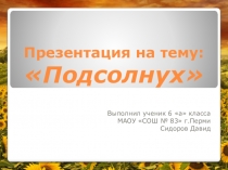 Презентация по биологии на тему Подсолнечник (6 класс)