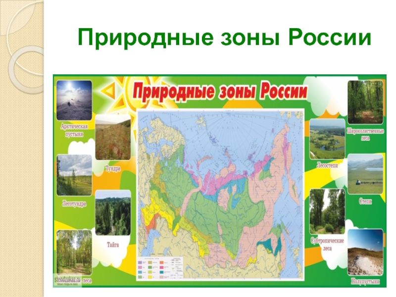 Учить природные зоны. Природные зоны России. Карта природных зон России. Природные зоны для дошкольников. Карта природных зон для детей.