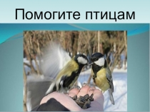 Презентация Покормите птиц зимой!(1класс)