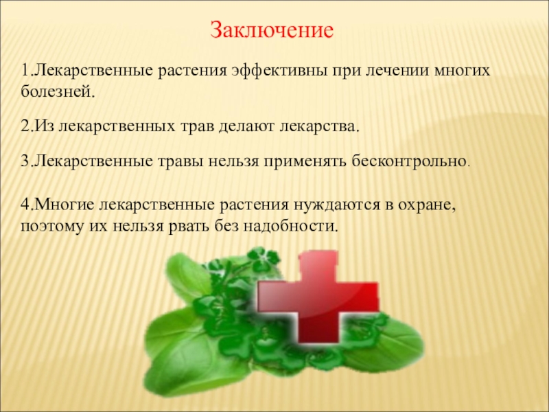 Заключение 1. Вывод о лекарственных растениях. Лекарственные растения заключение. Вывод в проекте на тему лекарственные растения. Лекарственные травы выводы.