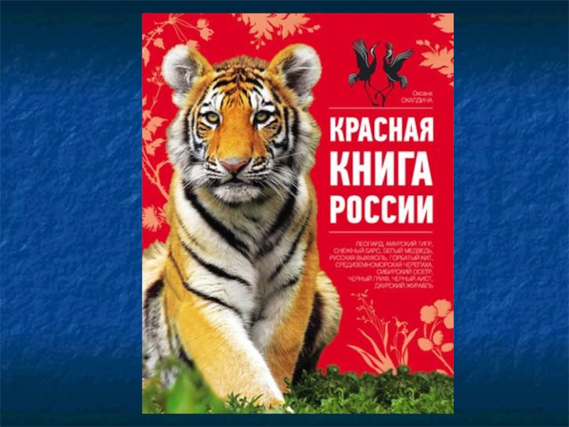 Красная книга россии 2 класс окружающий мир проект