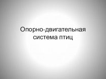 Презентация к уроку: Опорно-двигательная система птиц