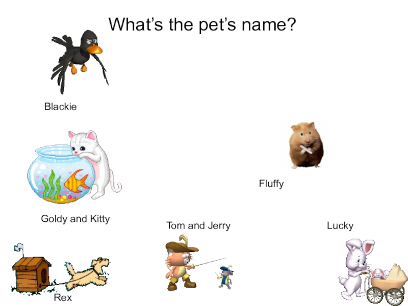 What’s the pet’s name? BlackieGoldy and KittyFluffyTom and JerryRexLucky