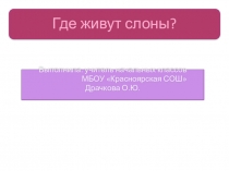 Презентация по окружающему миру на тему Где живут слоны?