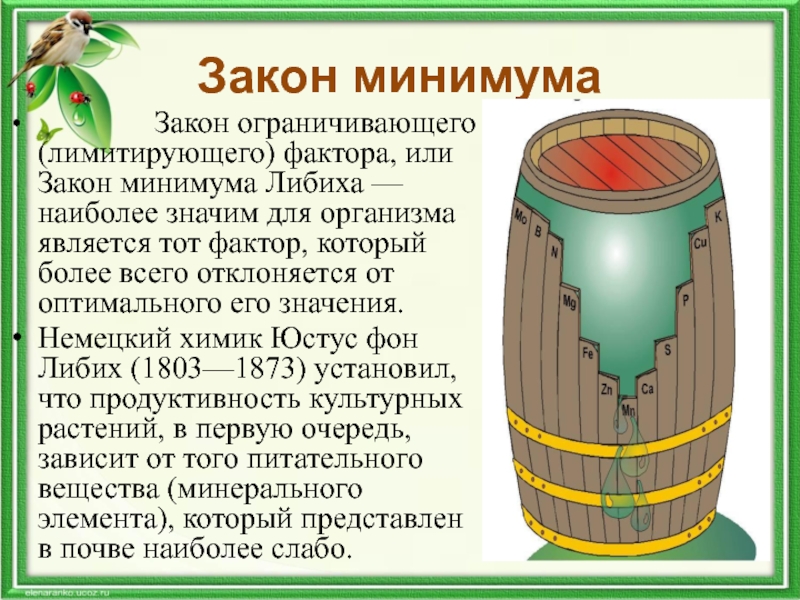 Закон минимума презентация