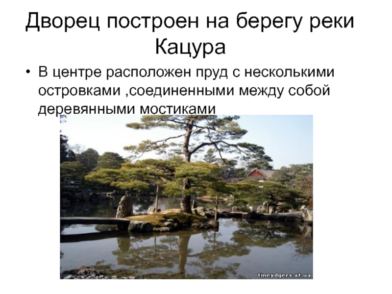 Дворец построен на берегу реки КацураВ центре расположен пруд с несколькими островками ,соединенными между собой деревянными мостиками