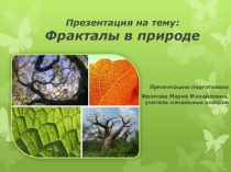 Фракталы в природе