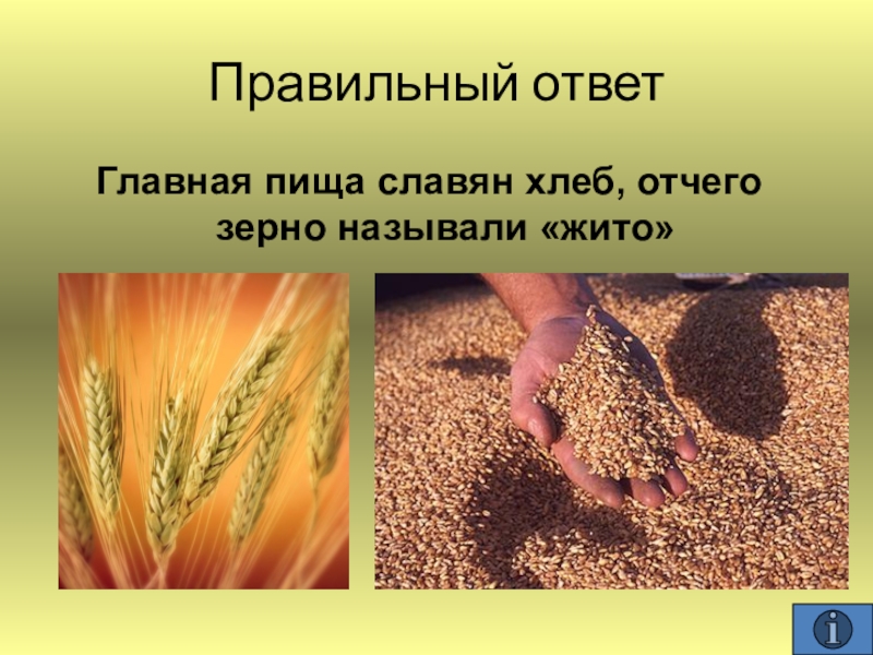 Объяснение слов жито. Хлеб жито. Пшеница славян. Хлеб был главной пищей славян отчего зерно называли. Славяне рожь.