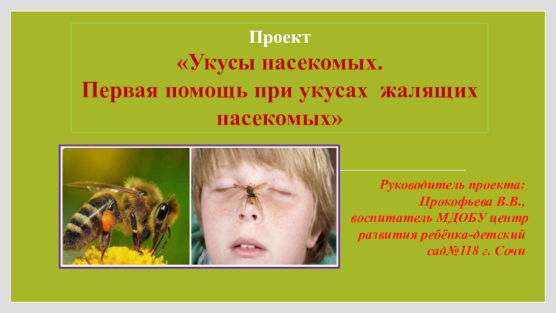 Презентация Презентация для дошкольников по теме: Укусы насекомых. Первая помощь при укусах жалящих насекомых
