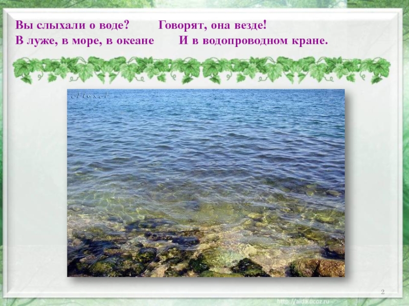 Вода говорит. Фамилии обозначающие воду море. Из океана до водопроводного крана. Презентация проекта из океана до водопроводного крана. Море не море а лужа.