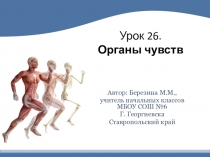 Презентация по окружающему миру на тему Органы чувств (3 класс)