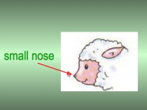 Презентация к УМК Spotlight 3 к Модулю 5 ЧАСТИ ТЕЛА. ЖИВОТНЫЕ. Часть 1