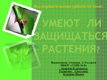 Презентация по экологии на тему Умеют ли защищаться растения...