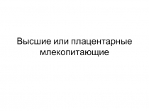 Презентация по биологии на тему Высшие плацентарные млекопитающие