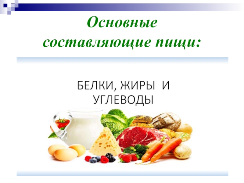 Составляющие пищи. Основные функции пищи. Основные функции питания. Энергетическая функция питания.