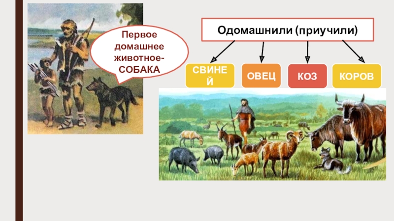 Поселок земледельцев и скотоводов описание картинки 5 класс