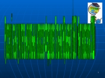 Презентация по русскому языку на тему Имя существительное одушевленное и неодушевленное