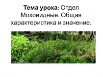 Презентация по теме моховидные