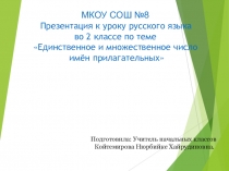 Презентация к уроку русского языка по теме Единственное и множественное число имён прилагательных