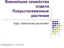 Презентация пл биологии Важнейшие растения из отдела Покрытосеменных