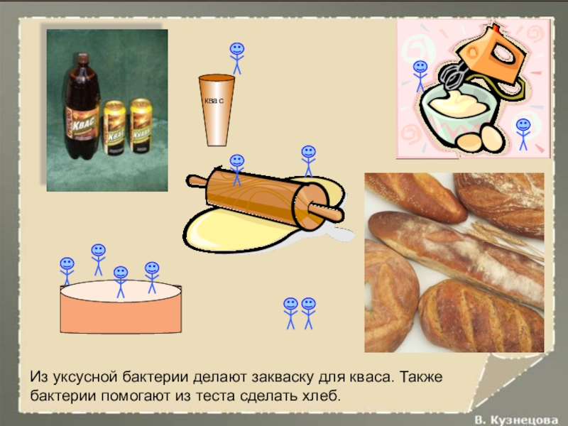 Acetobacter xylinum. бактерии брожения. уксуснокислые бактерии acetobacter. бактерии ацетобактер. уксуснокислые бактерии acetobacter lovaniensis.