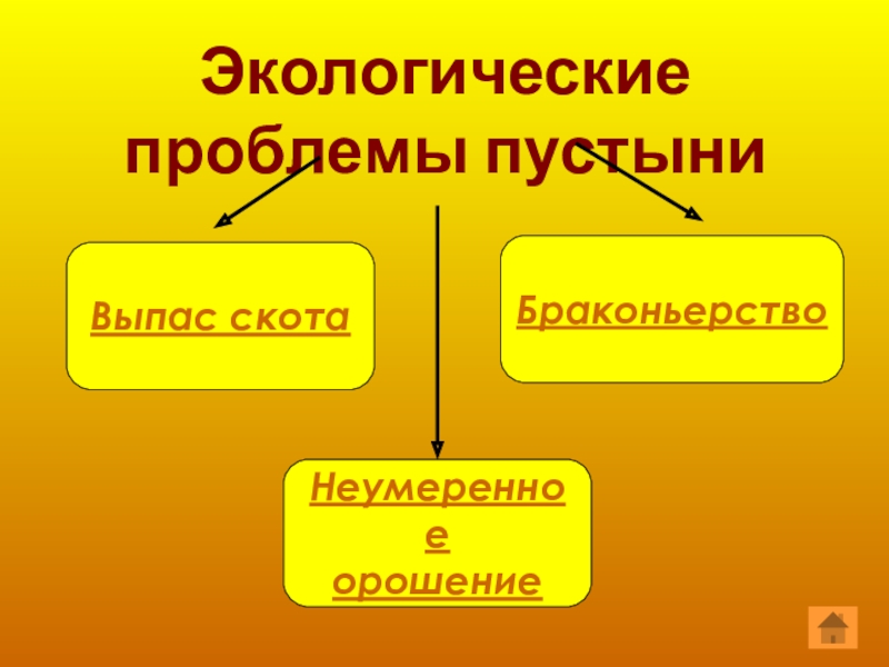 Экологические проблемы зоны пустынь