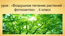 Урок по биологии  Воздушное питание растений - фотосинтез (6 класс)