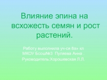 Исследовательская работа Влияние эпина на всхожесть семян и рост растений.