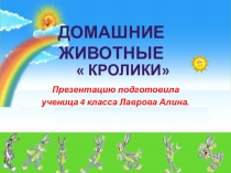 Презентация по окружающему миру на тему Домашние животные