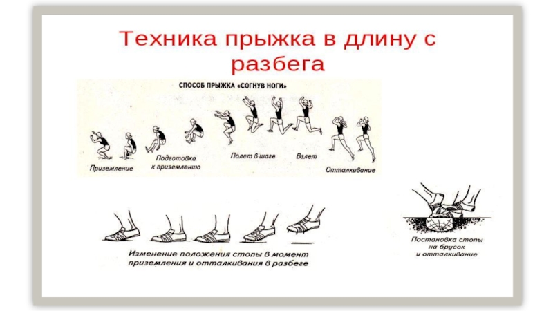 Чем измеряется длина разбега. Фаза разбега в прыжках в длину с разбега. Фазы в технике прыжка в длину с разбега. Техника прыжка в длину с разбега способ согнув ноги фазы. Фазы прыжка с разбега согнув ноги.