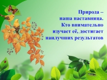 Разработка урока биологии в 7 классе по теме :Многообразие птиц