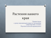 Презентация по окружающему миру на тему Мир растений